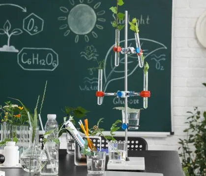Science Home Tutor India